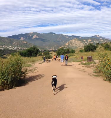 Dog Park at Bear Branch Park